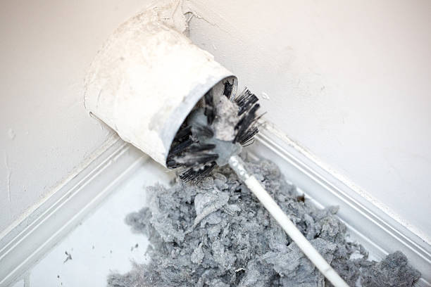Best Affordable Air Duct Cleaning  in Estill, SC